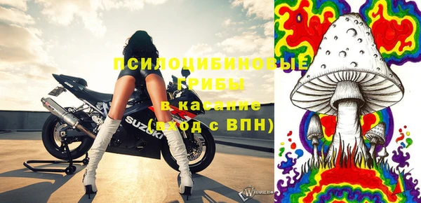 ешки Алексин