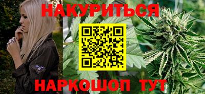 Альфа ПВП Гатчина