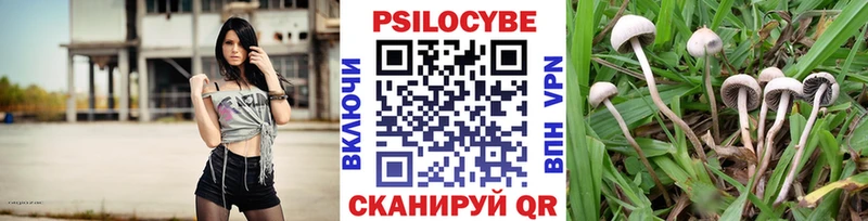 Галлюциногенные грибы Cubensis  площадка какой сайт  Соликамск 