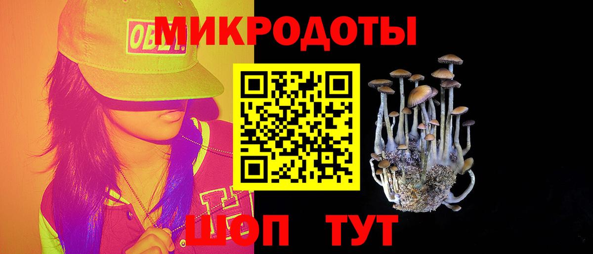 Псилоцибиновые грибы Psilocybe  Вход с VPN  Соликамск 
