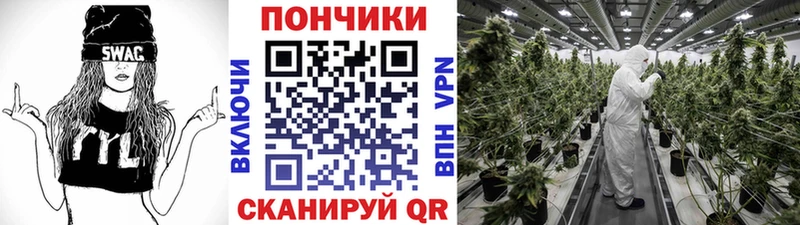как найти   Соликамск  Бошки марихуана Amnesia 